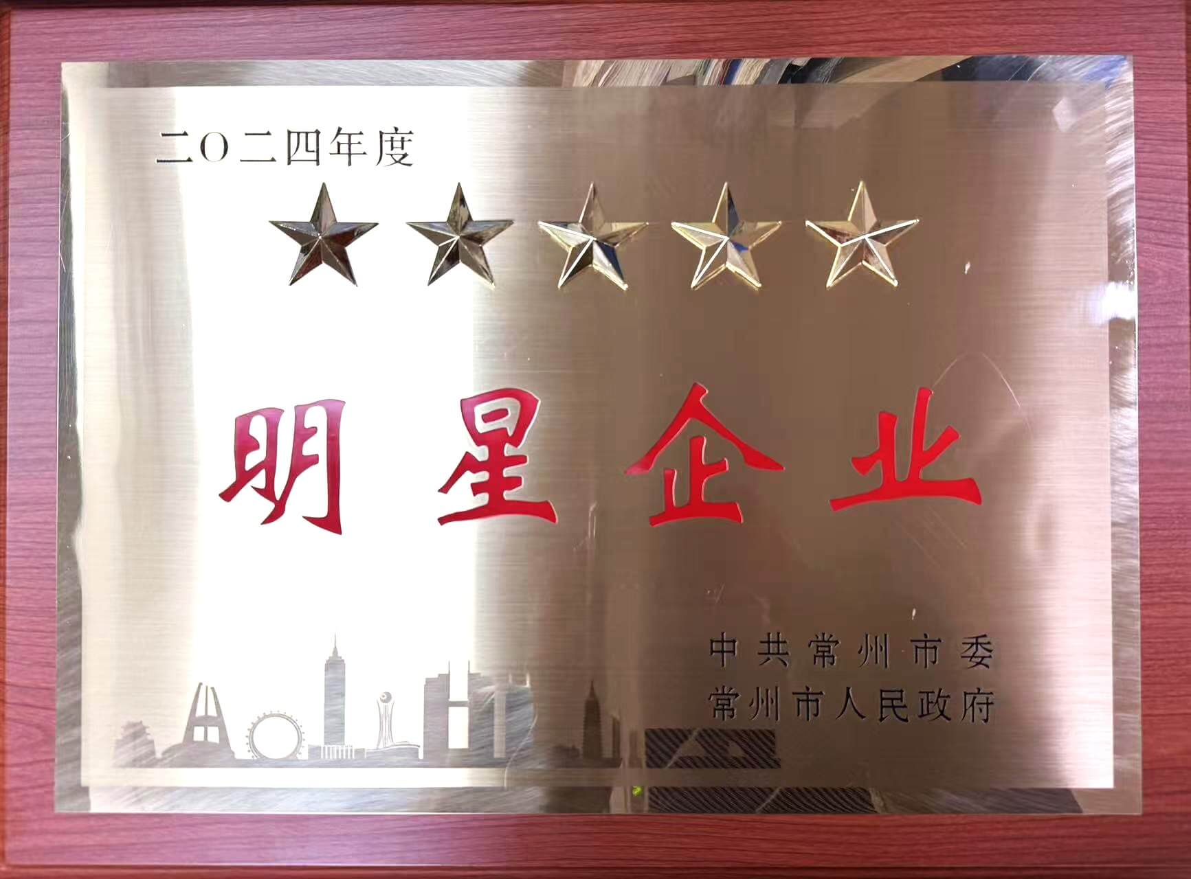 2024年度常州市現(xiàn)代服務(wù)五星企業(yè)獎(jiǎng)牌.jpg